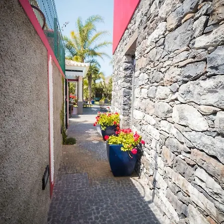 Quinta Da Tia Briosa, Palheiro Ii *